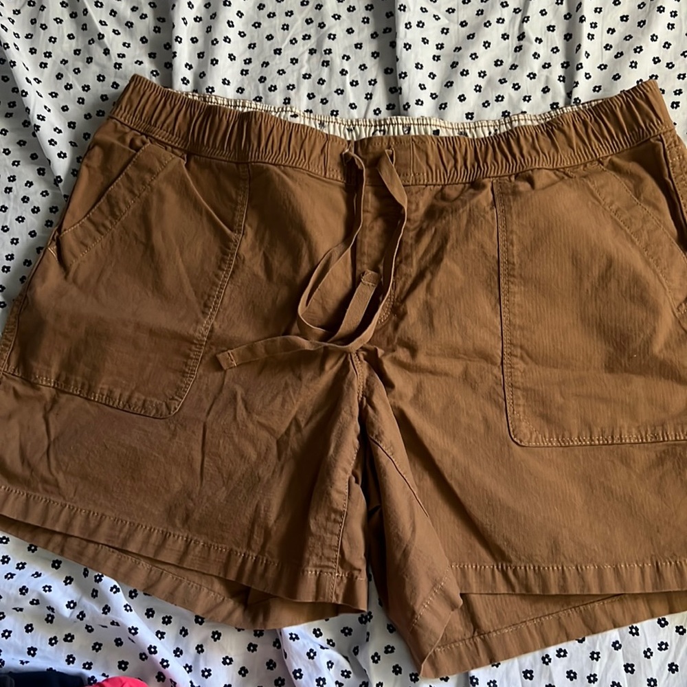 North face outdoors shorts